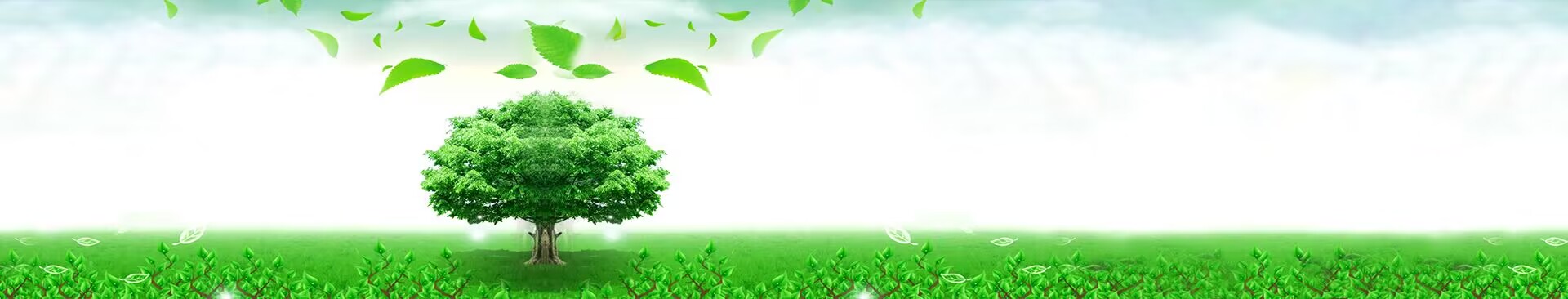 دربارهی ما